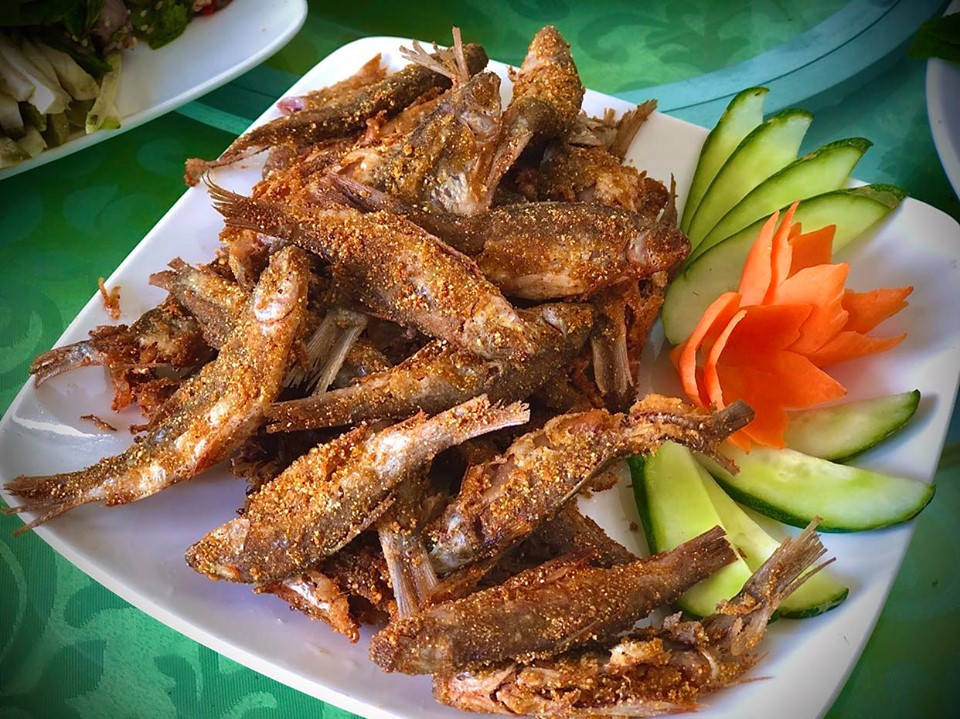 Tử Đà Catfish – Rich Flavor of the Ancestral Land
