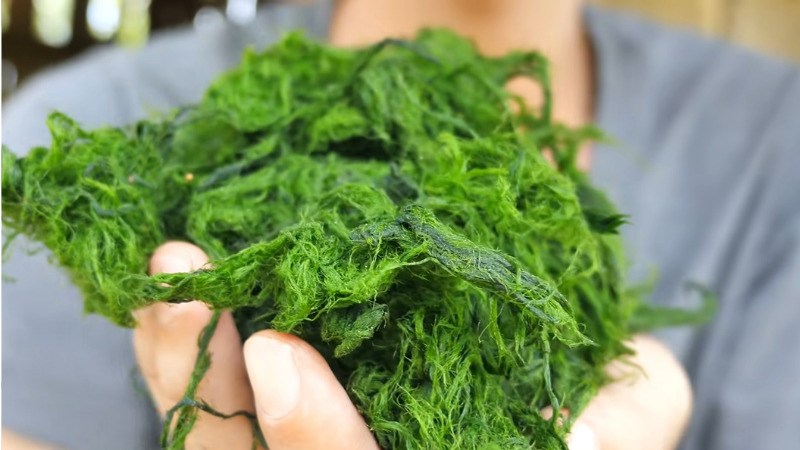 Rêu Đá – Unique Dish from Xuân Sơn Mountains