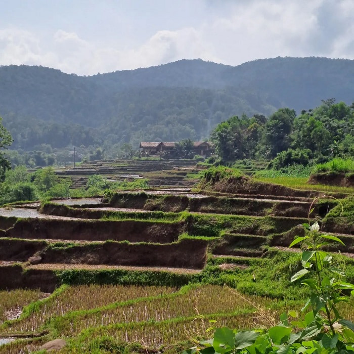 COMMUNITY TOURISM IN BAN BUOC
